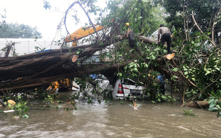 Tree Falls on Mumbai Police Addl CP S Jaykumar’s Car, At Matunga
