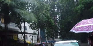 Mumbai: Mumbai IMD Issues Yellow Alert For Two Days with Forecast of Heavy Rain in Mumbai and Konkan Region, Read detailed here