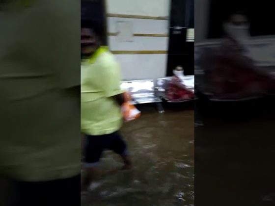 Mumbai J.J. Hospital Water Logging Video, Exclusive in Hello Mumbai