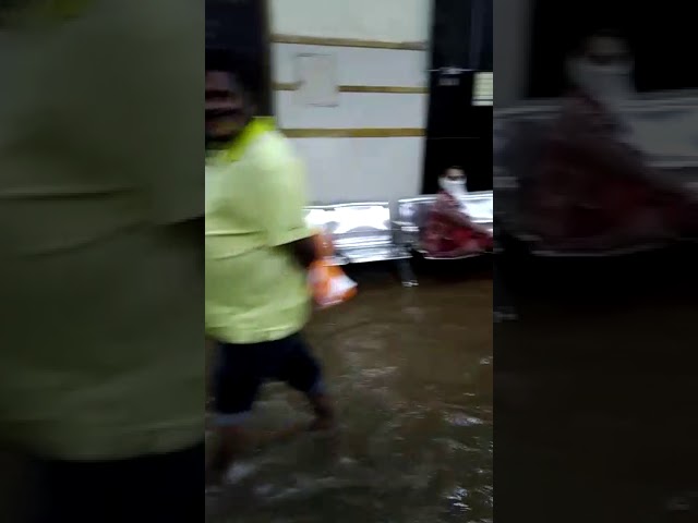 Mumbai J.J. Hospital Water Logging Video